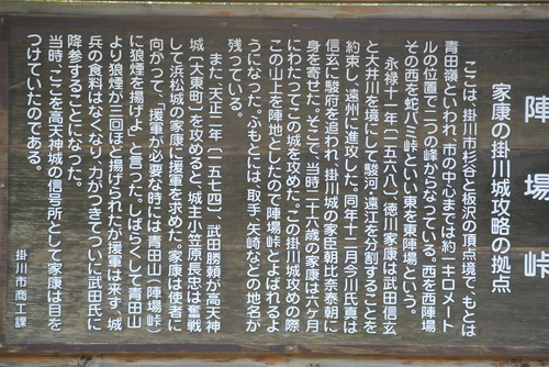 DSC_0318.JPG